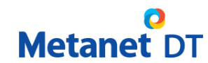Metanet DT